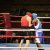 Evenements  Boxe WBC - 7 Novembre 2010